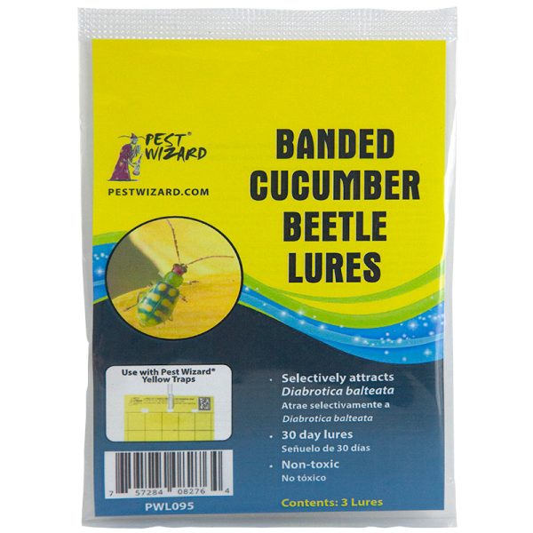 Pest Wizard Banded Cucumber Beetle Lure 3-Pack Online Hot Sale