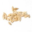 Organic Beardless Barley Seed (lb) Online