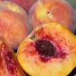 JH Hale Peach Tree Sale