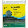 Pest Wizard Big Invisible Insect Trap 5-Pack For Discount