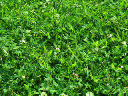 Peaceful Valley General Purpose Pasture Mix (lb) Supply