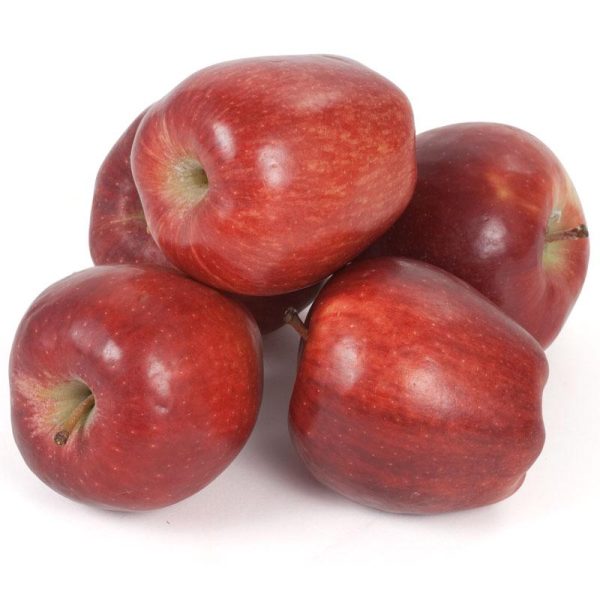 Red Delicious (Bisbee Spur) Apple Tree Online now