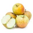 Golden Russet Apple Tree Online Hot Sale