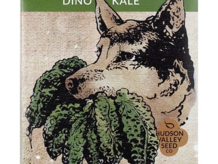 Dino Kale Art Pack For Discount