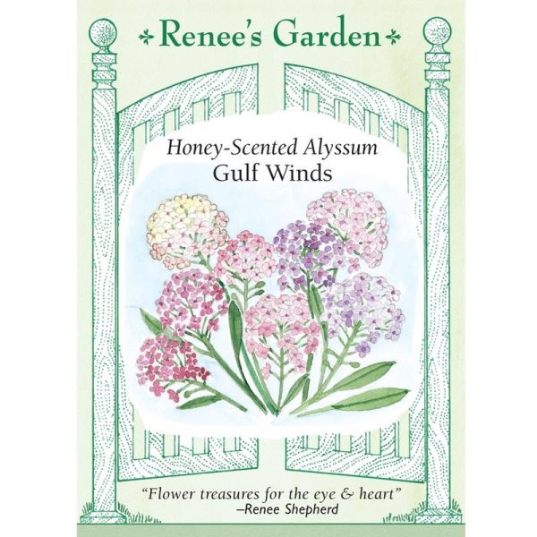 Honeyscented Gulf Winds Alyssum Flower Seed Mix For Discount