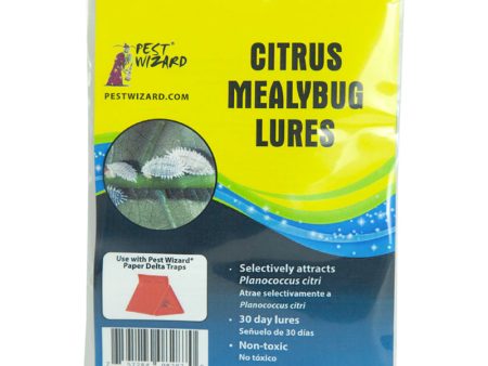 Pest Wizard Citrus Mealybug Lure 3-Pack Fashion