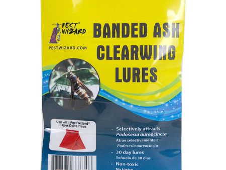 Pest Wizard Banded Ash Clearwing Borer Lure 3-Pack Online