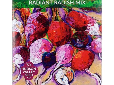 Radiant Radish Mix Art Pack Sale