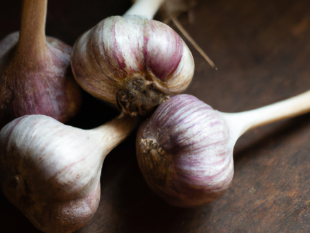 Organic Red Chesnok Garlic (lb) Online now