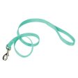 Single-ply Teal Nylon Dog Lead 4 L x 1 W by Coastal Pet Online Sale