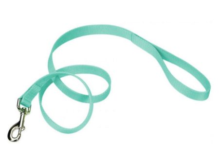 Single-ply Teal Nylon Dog Lead 4 L x 1 W by Coastal Pet Online Sale