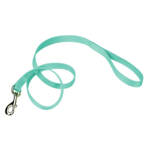 Single-ply Teal Nylon Dog Lead 4 L x 1 W by Coastal Pet Online Sale