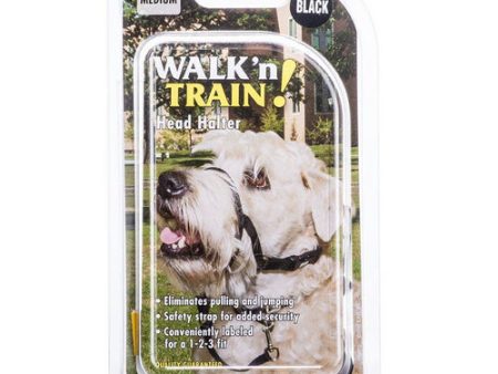 Walk n Train Head Halter Size 2 (14 -19  Neck & 5 -7  Snout Circumference) by Coastal Pet Fashion