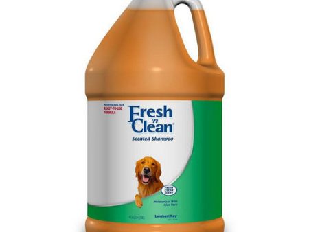 Scented Shampoo with Protein - Fresh Clean Scent 1 Gallon by Fresh  n Clean For Discount