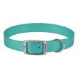 Single-ply Teal Nylon Dog Collar 14 L x 5 8 W by Coastal Pet Online Sale