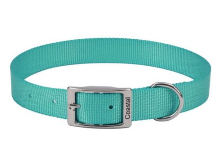 Single-ply Teal Nylon Dog Collar 14 L x 5 8 W by Coastal Pet Online Sale