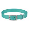 Single-ply Dog Collar Teal 12 L x 5 8 W by Coastal Pet Online now