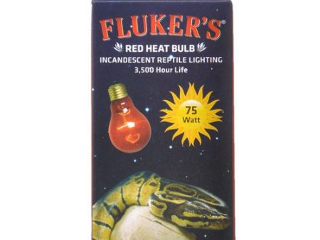 Red Heat Incandescent Bulb 75 Watt by Flukers Online Sale