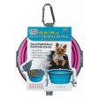 Bella Roma Pink Travel Bowl 1 count - Small by Loving Pets Fashion