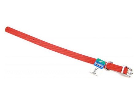 Single Nylon Collar - Red 12  Long x 5 8  Wide by Coastal Pet on Sale