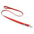 Single Nylon Lead - Red 4  Long x 1  Wide by Coastal Pet Supply