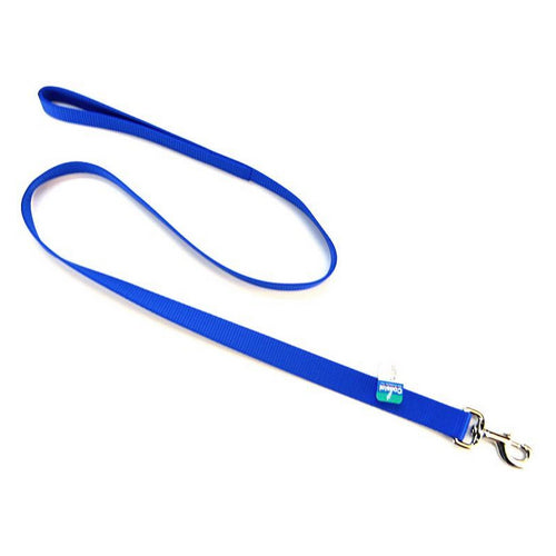 Single Nylon Lead - Blue 4  Long x 1  Wide by Coastal Pet Online Hot Sale