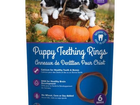 Puppy Teething Ring - Pumpkin Flavor Puppy Teething Ring - 3.5  Diameter (6 Pack) by N-Bone For Sale