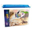 Kritter Keeper with Lid X-Large - 15.87 L x 8.37 W x 12.08 H by Lee s Hot on Sale